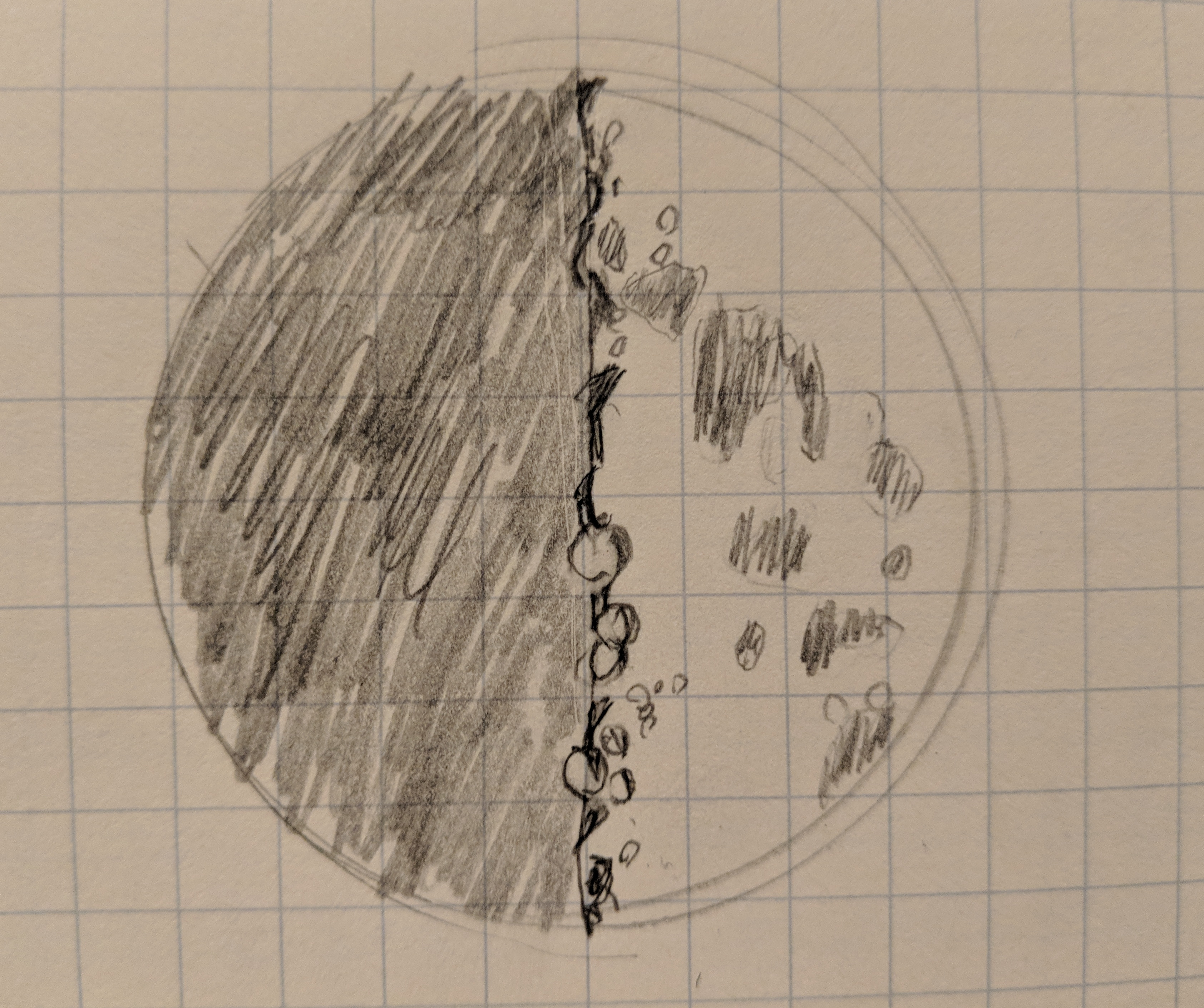 Sketch of the half moon as seen through the telescope